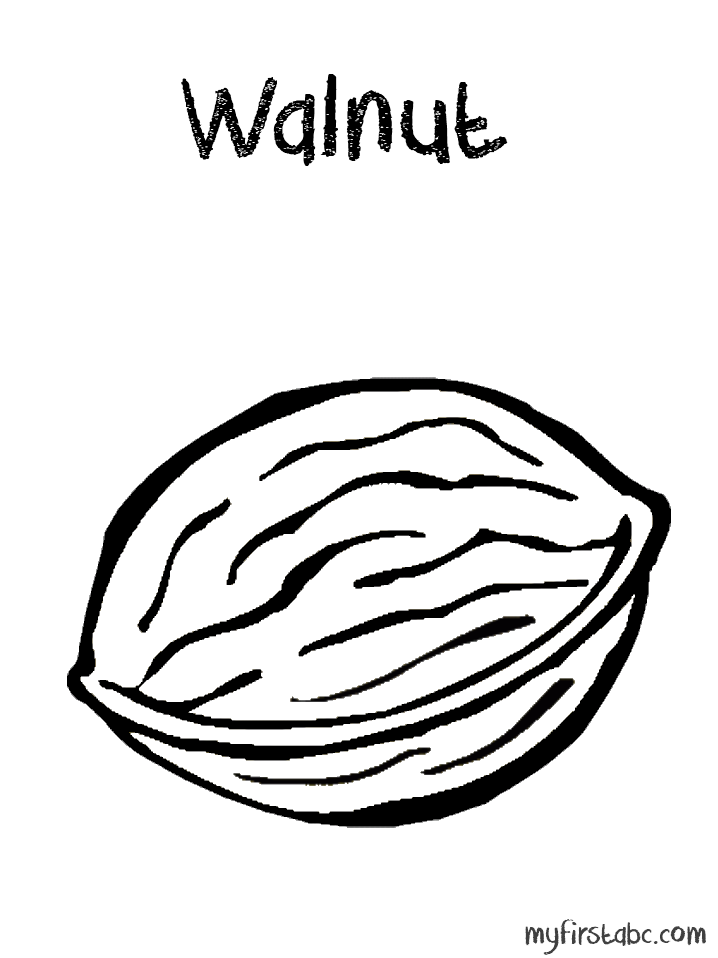 Black Walnut Clipart.