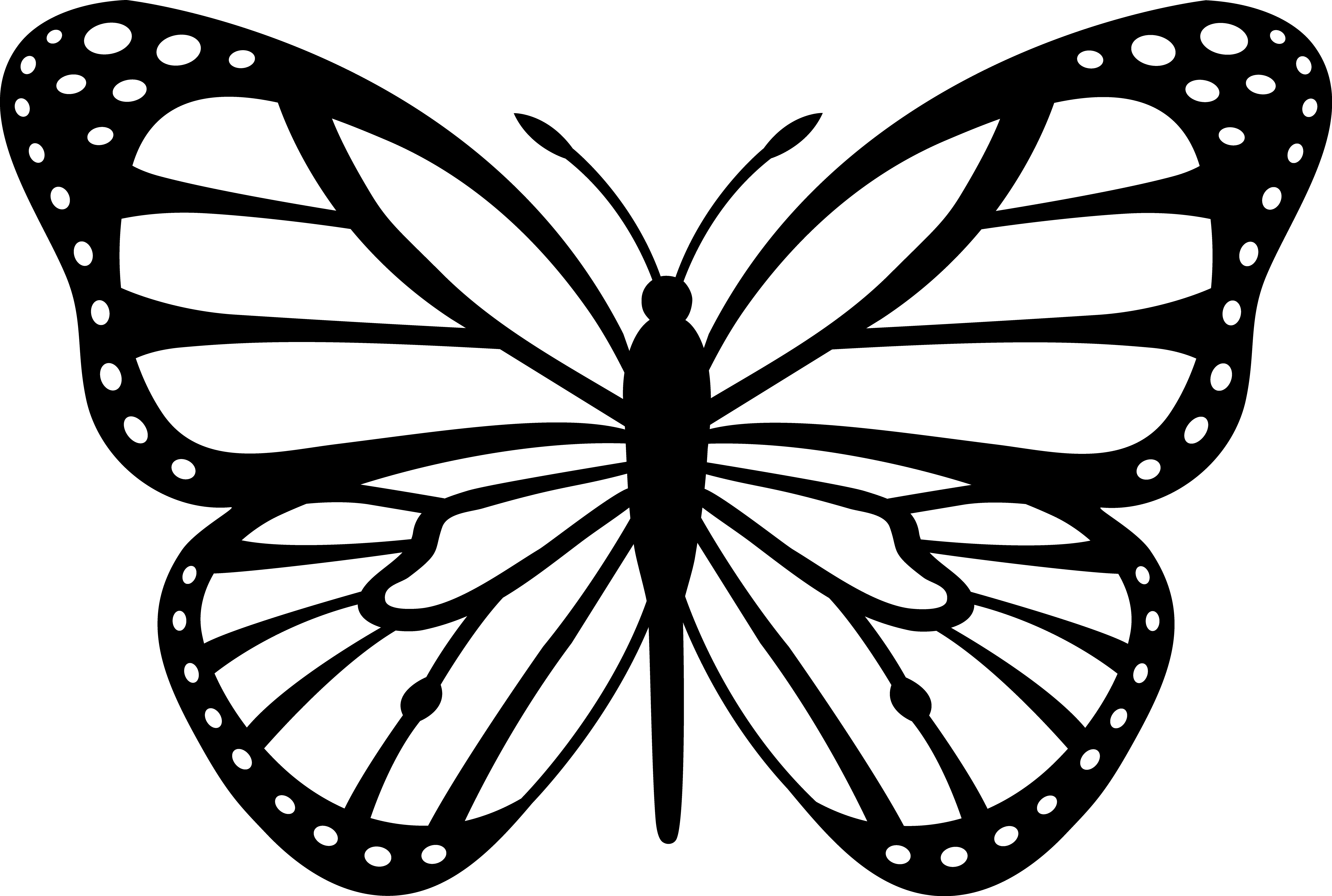 Butterfly Clipart Black And White.