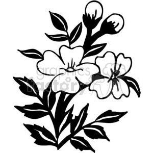 Two Black and white flowers clipart. Royalty.
