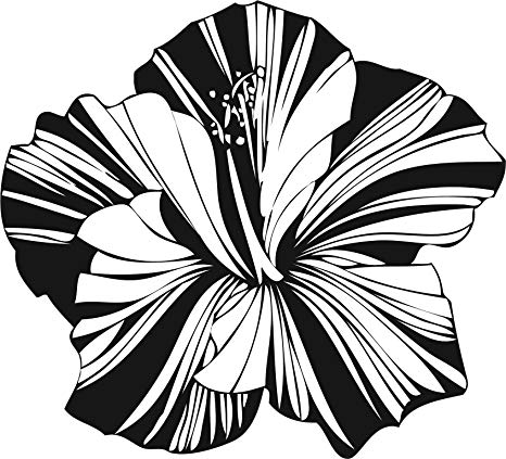 Amazon.com: Pretty Black and White Stripe Flower Art Vinyl.