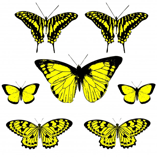 Yellow And Black Butterfly Clipart.