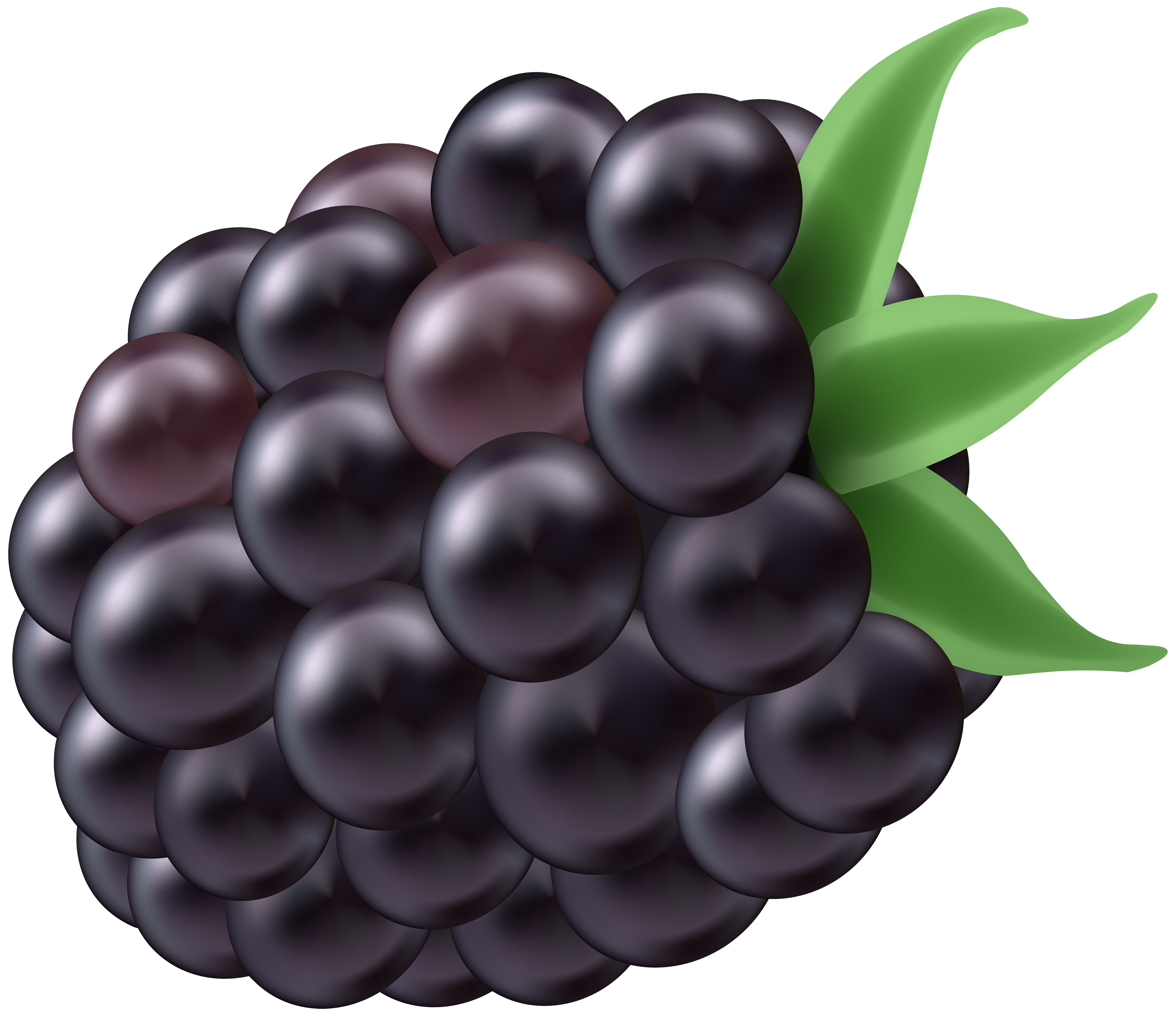 Blackberry PNG Clip Art Image.