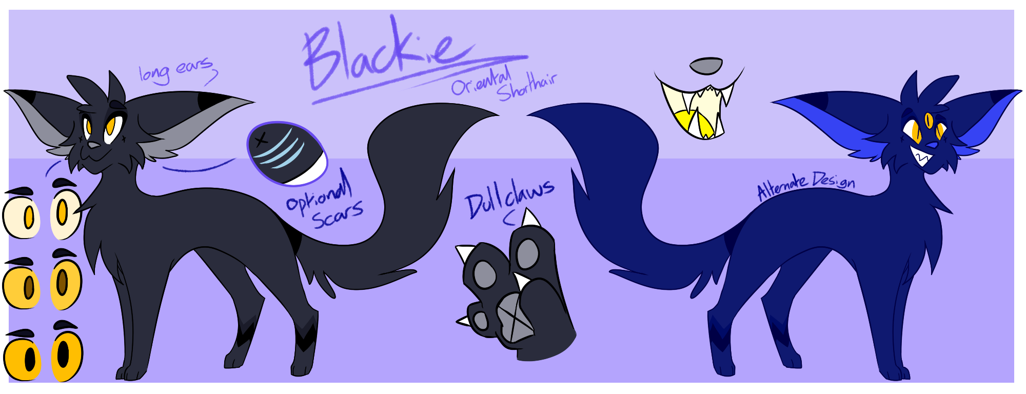 Blackie Reference by Angeli.