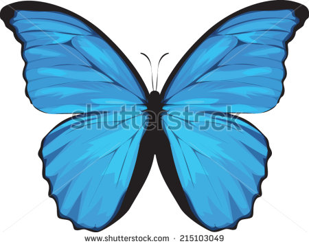 Butterfly Clip Art Species Blue Morpho Stock.