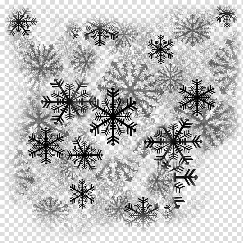 LCO BrushSet Blizzard transparent background PNG clipart.