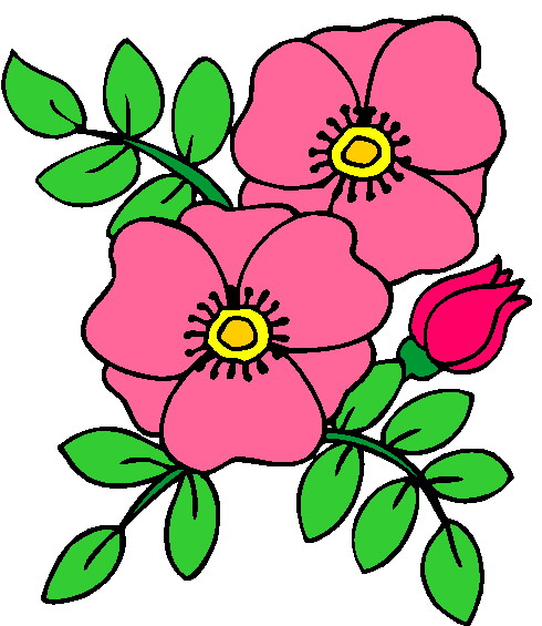 Flowers And Plants Clipart 20 Free Cliparts Download Images On Clipground 2024 