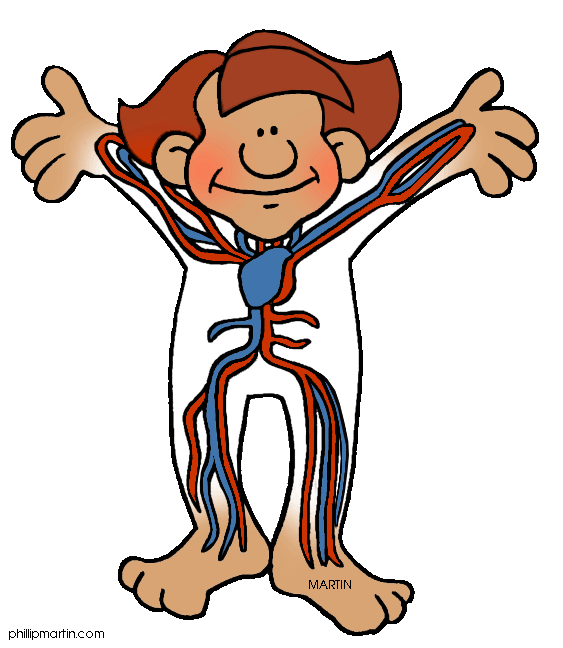 Blood Circulation Clipart 20 Free Cliparts Download Images On