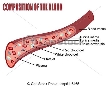 Platelets Illustrations and Clip Art. 464 Platelets royalty free.