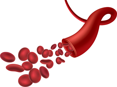 of composition red blood cells Cliparts Vessels free images Download  clipart 20 Clipground 2020 on