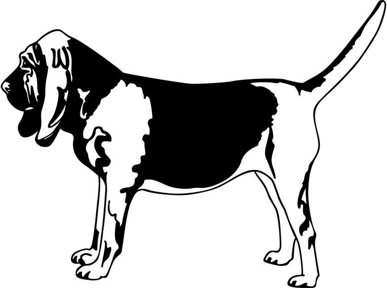 Bloodhound Clipart.