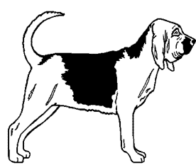 Free Bloodhound Cliparts, Download Free Clip Art, Free Clip.