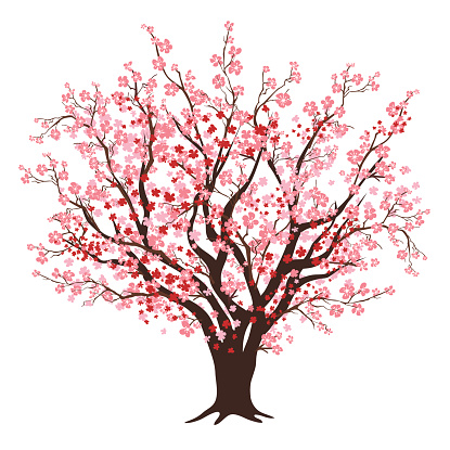 Blooming cherry tree clipart 20 free Cliparts | Download images on ...