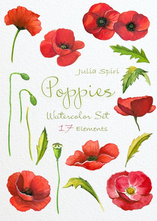 1000+ ideas about Poppy Flowers on Pinterest.