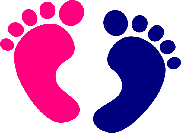 Pink And Blue Baby Feet Clipart.