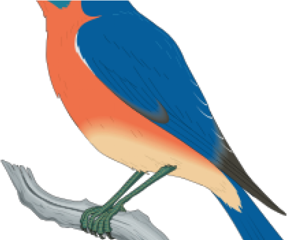 Free Bluebird Clipart.