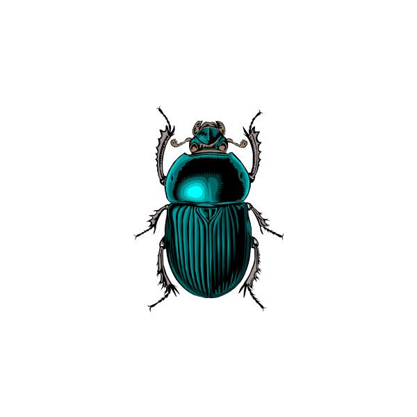Blue black oil beetle clipart 20 free Cliparts | Download images on ...