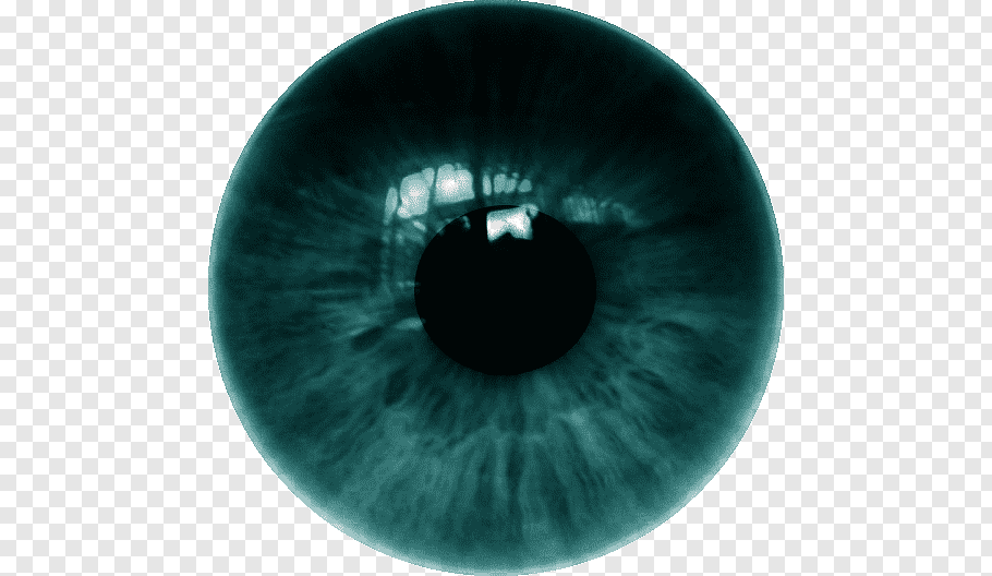 Human green eye, Human eye Iris Contact Lenses, LENS free.