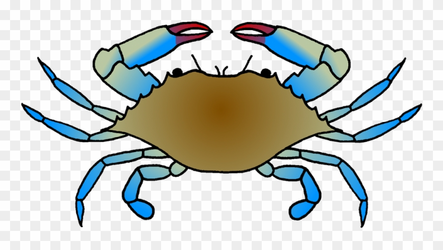 blue crab pictures clipart 10 free Cliparts | Download images on