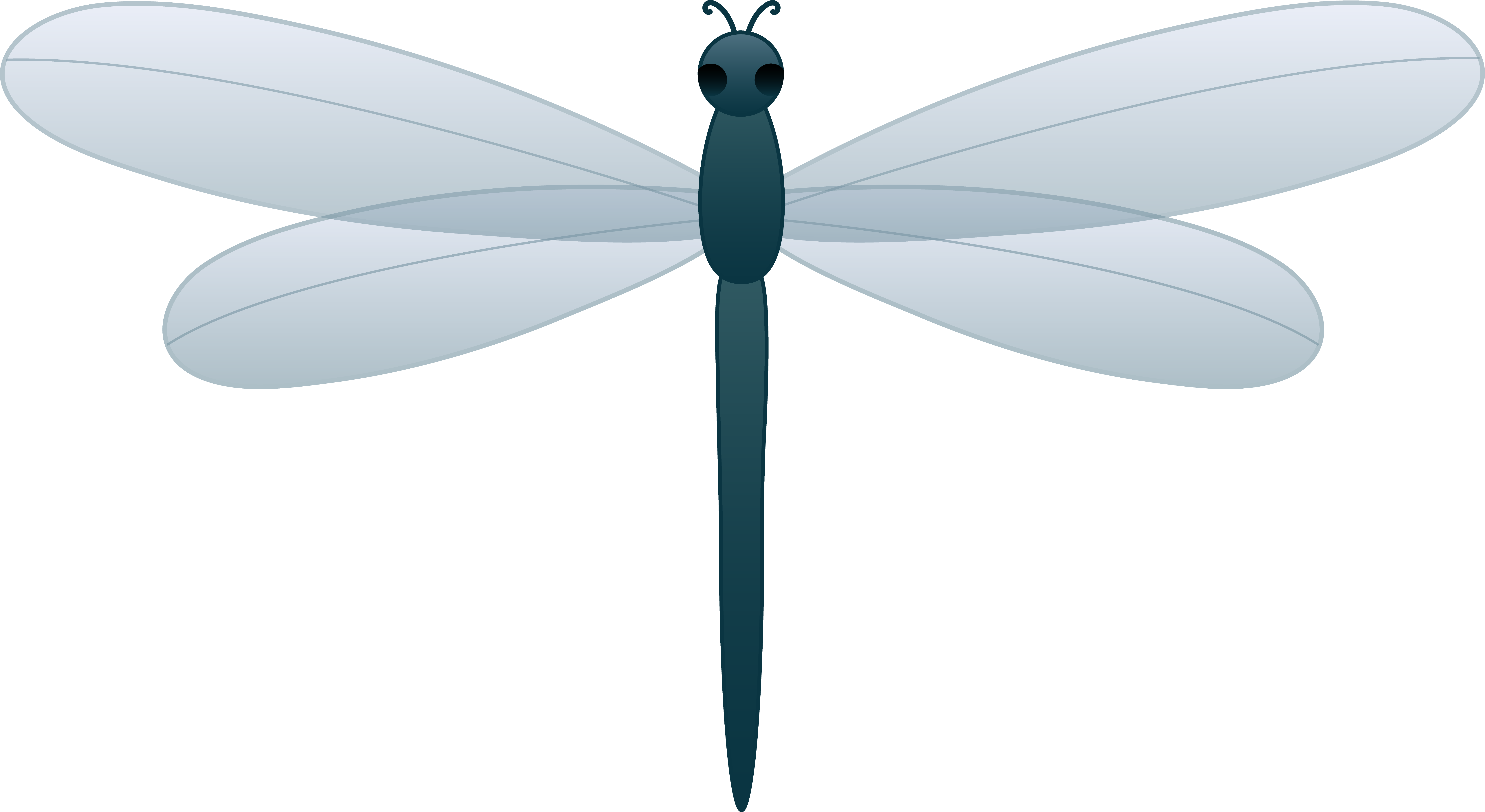 Blue dragonfly clipart 20 free Cliparts | Download images on Clipground