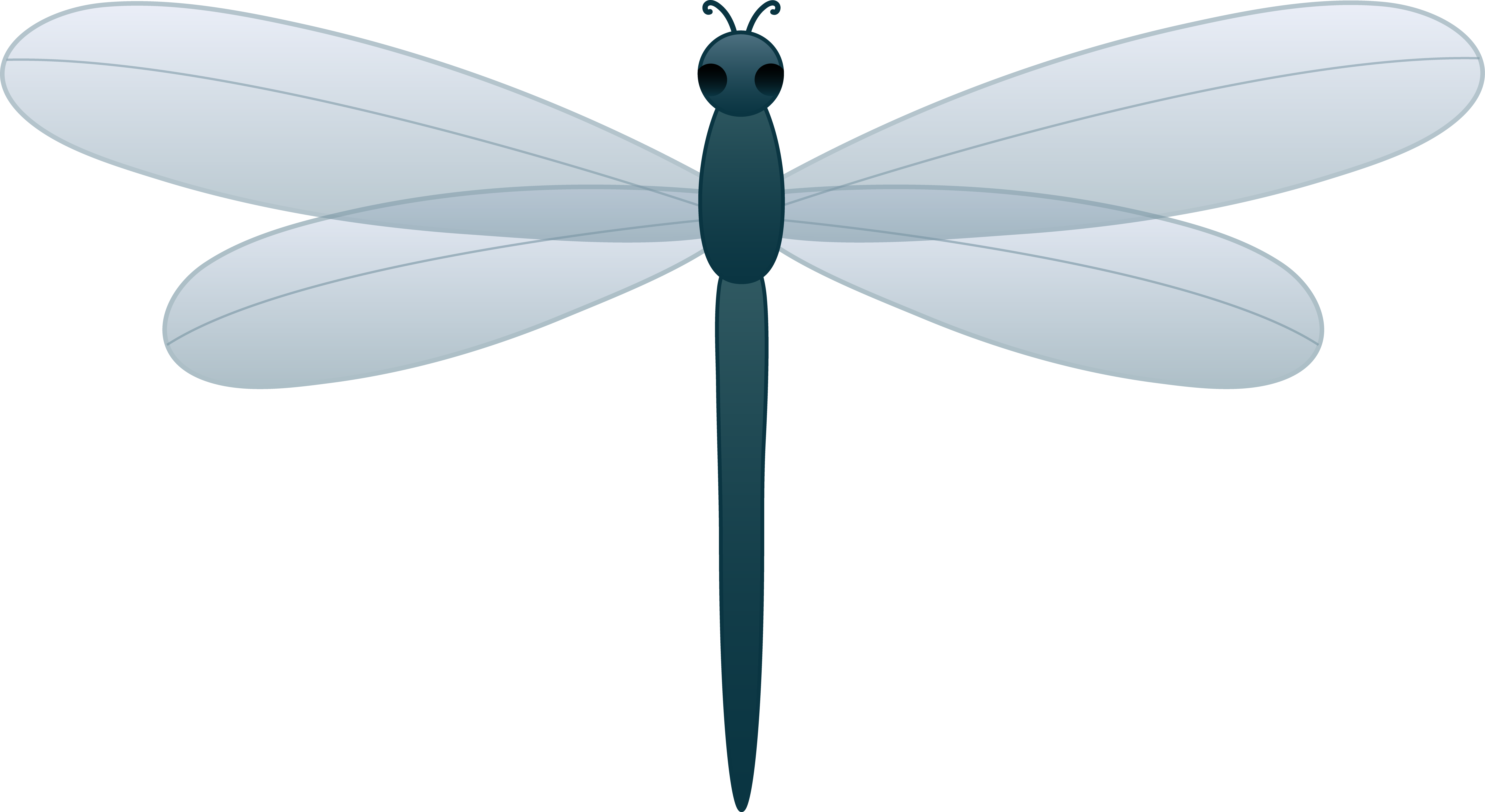 Blue dragonfly clipart.