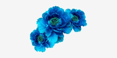 blue flower crown png 20 free Cliparts | Download images on Clipground 2021