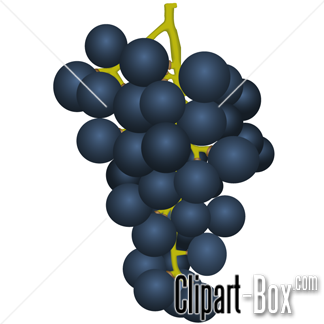 CLIPART GRAPE FRUIT.