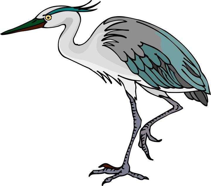 Great blue heron clipart 20 free Cliparts | Download images on ...
