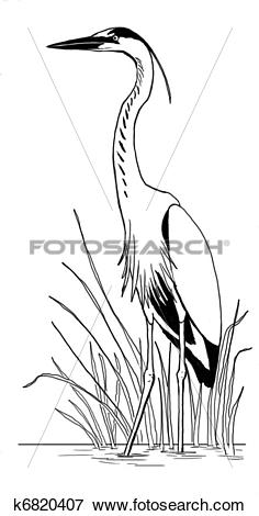 Stock Illustration of Great Blue Heron in reeds k6820407.
