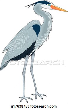 Heron clipart 20 free Cliparts | Download images on Clipground 2023