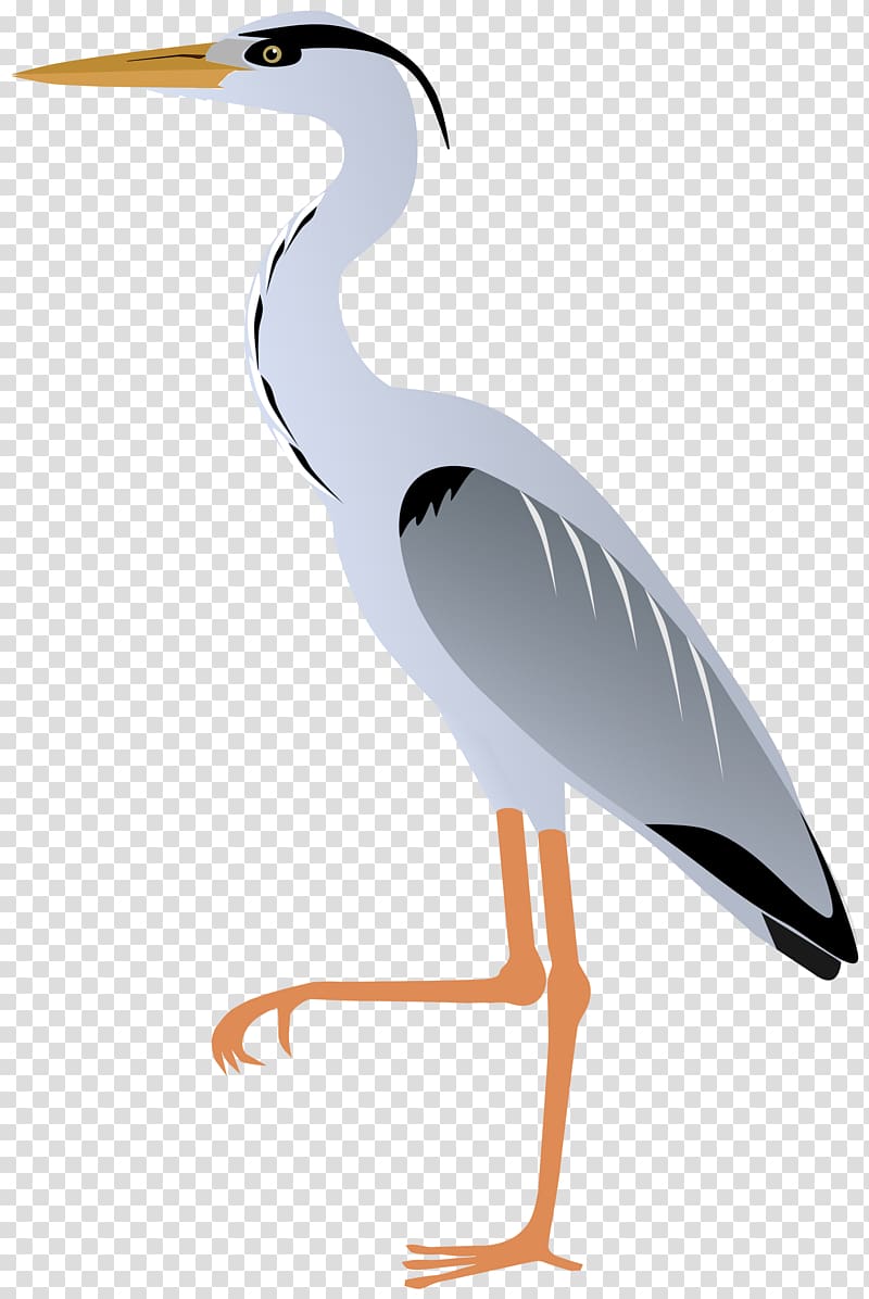 blue heron pictures clipart 10 free Cliparts | Download images on ...