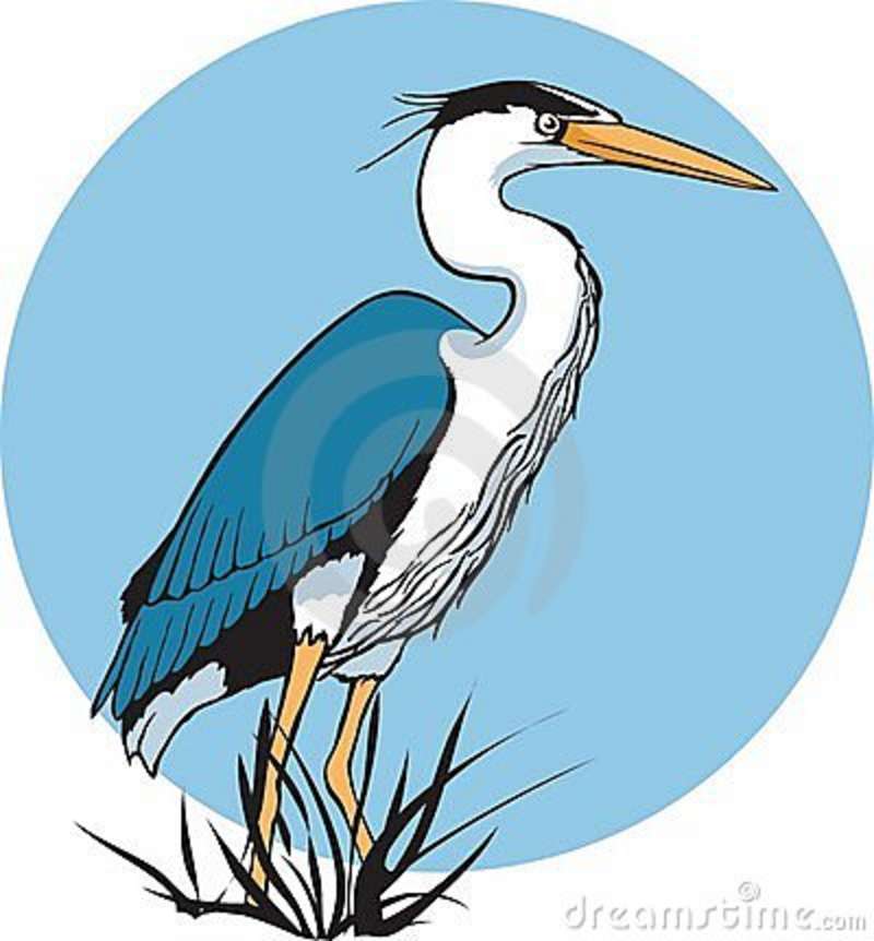 Heron Bird Clipart 10 Free Cliparts Download Images On Clipground 2024