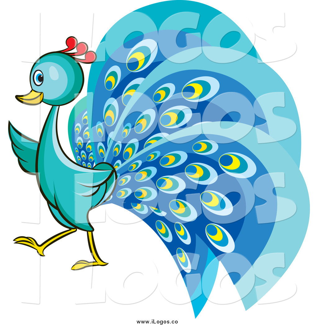 peacock clipart vector 20 free Cliparts | Download images on Clipground