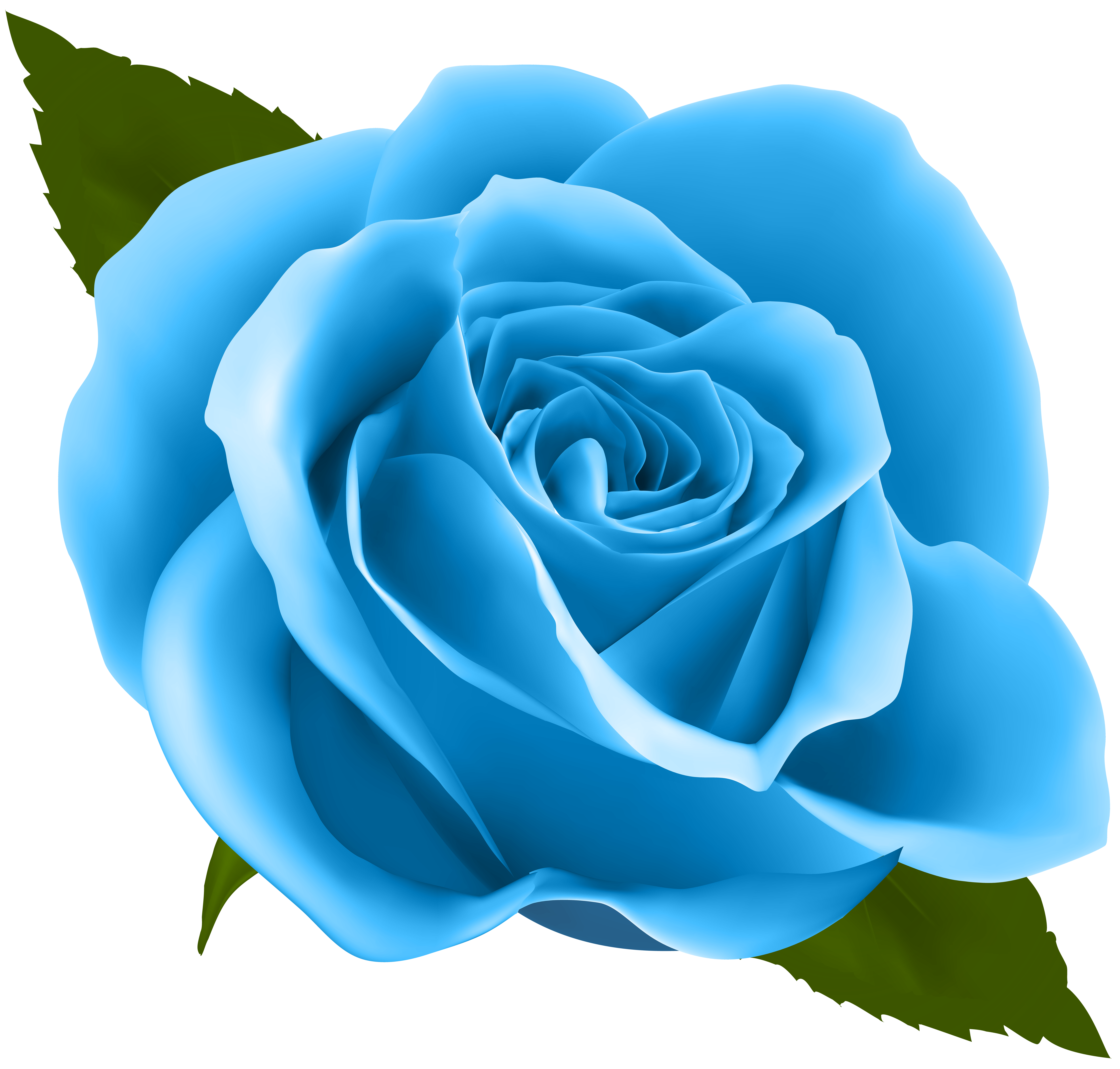 Blue Rose PNG Clip Art Image.