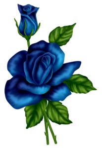 blue rose clipart 20 free Cliparts | Download images on Clipground 2024