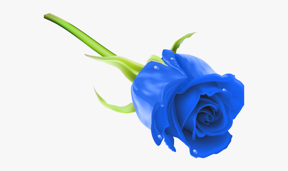 blue rose clipart 20 free Cliparts | Download images on Clipground 2022