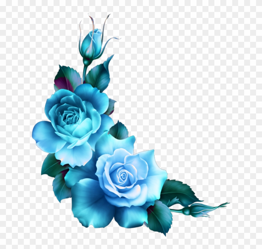 blue roses png 20 free Cliparts | Download images on Clipground 2022