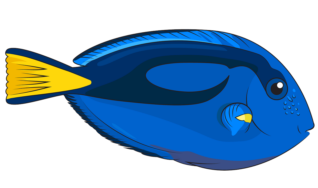 Blue Tang clipart. Free download..