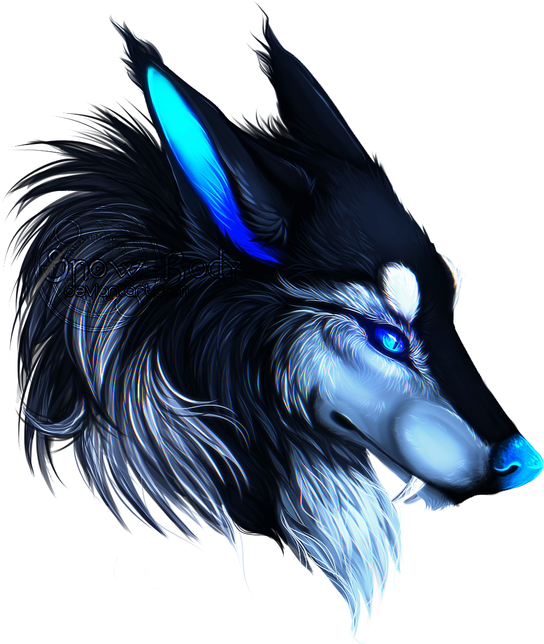 blue wolf png 20 free Cliparts | Download images on Clipground 2023