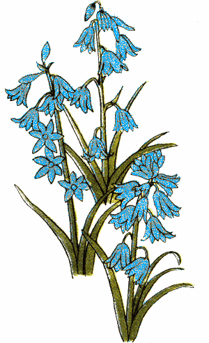 Bluebells clipart 20 free Cliparts | Download images on Clipground 2024