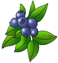Free Blueberry Clipart.
