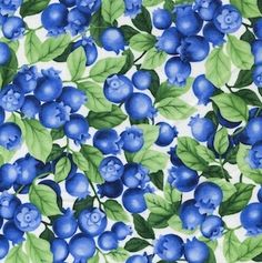 blueberry clipart.