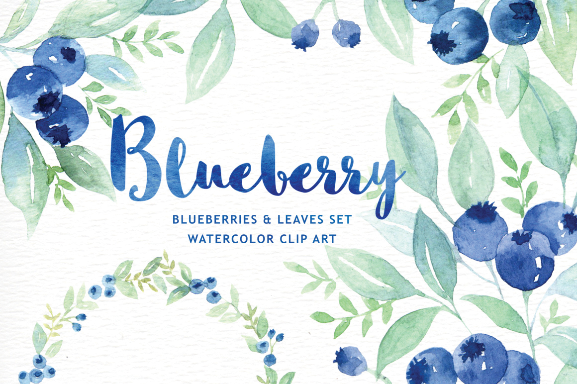 694 Blueberry free clipart.