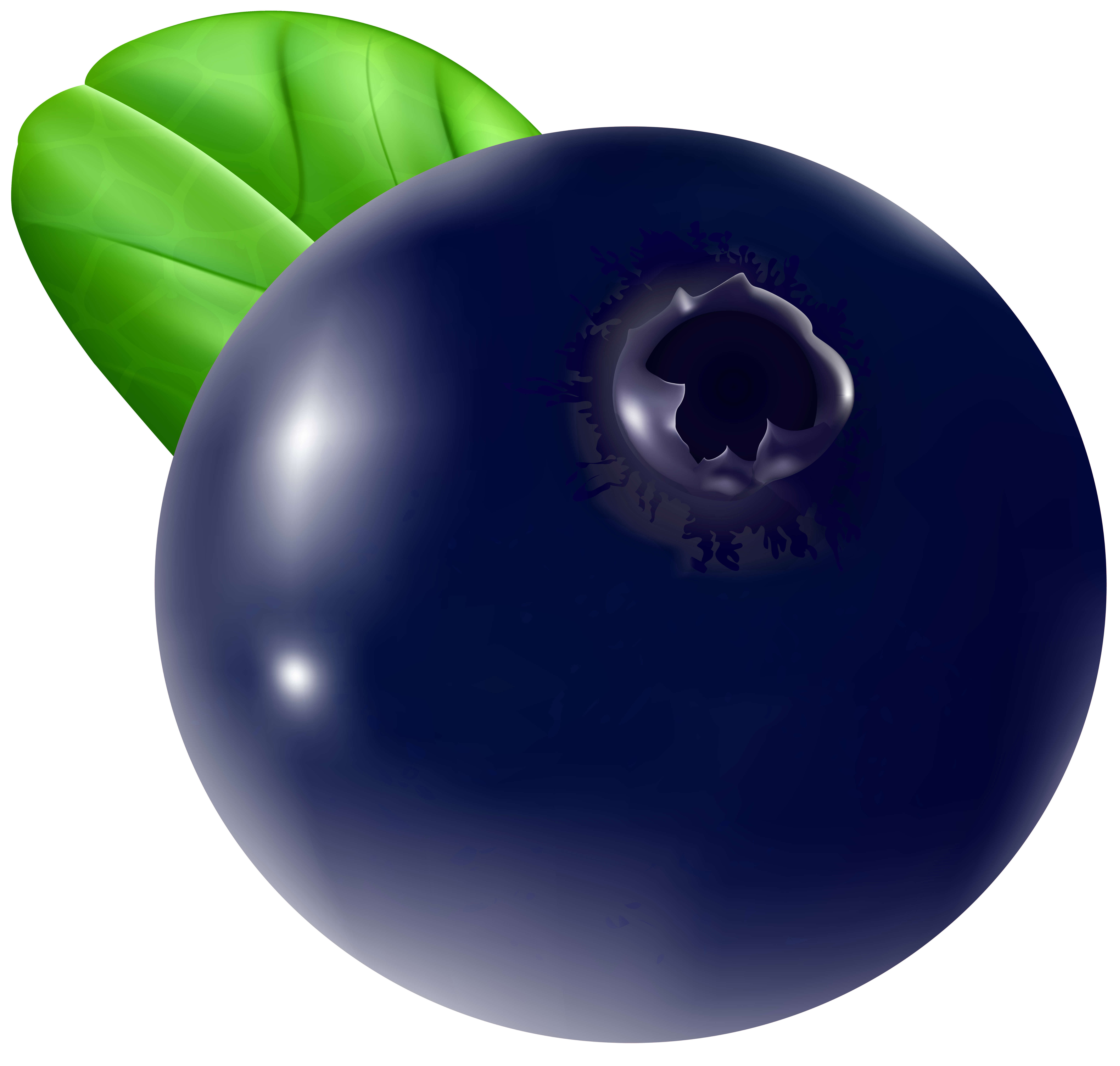 Blueberry Transparent PNG Clip Art Image.