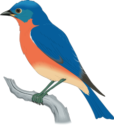Bluebird clipart 20 free Cliparts | Download images on Clipground 2024