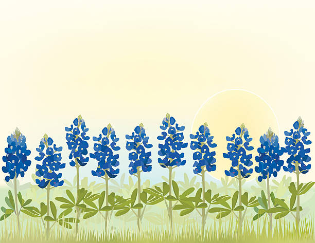 bluebonnet clip art free 20 free Cliparts | Download images on