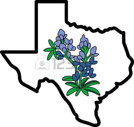 Huge Collection of 'Bluebonnet clipart'. Download more than 40.