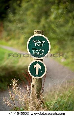 Stock Photo of Bilingual welsh english nature trail sign Bluestone.
