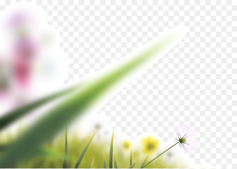 Green Grass Background png download.
