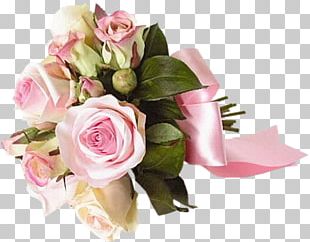 Blush Pink Flower PNG Images, Blush Pink Flower Clipart Free Download.