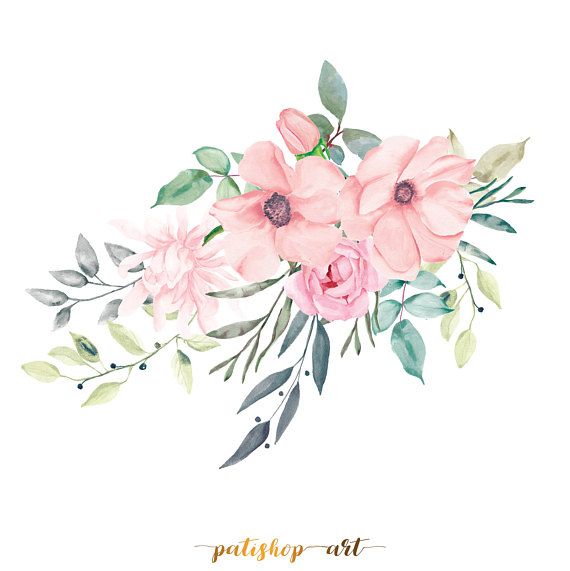 blush rose clipart 10 free Cliparts | Download images on Clipground 2024